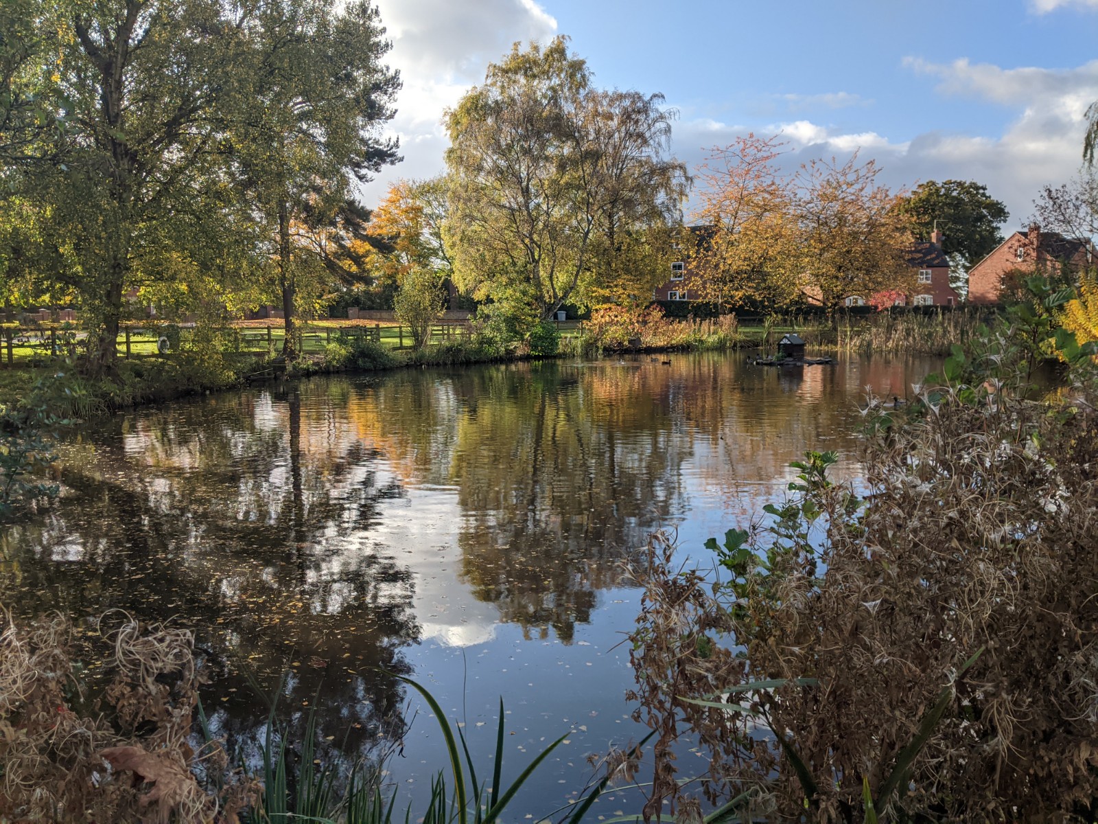 The village pond, October 26th